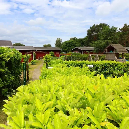 New Luxurious Bungalow, Raeuberkuhle, Koserow *